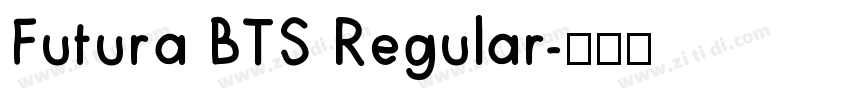 Futura BTS Regular字体转换